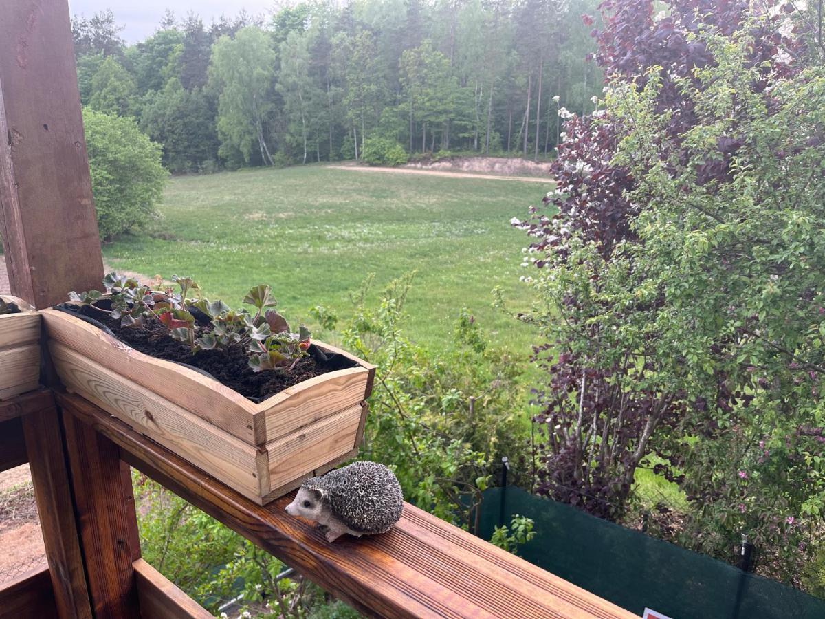 Holiday home A&r Kaszuby Natura Dom Wypoczynek Gowidlino